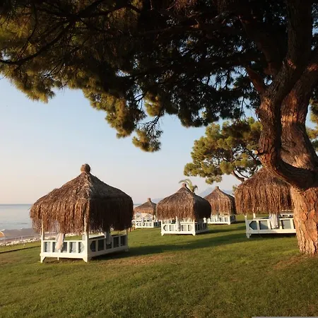 Tac'un Nisa 3* Текирова